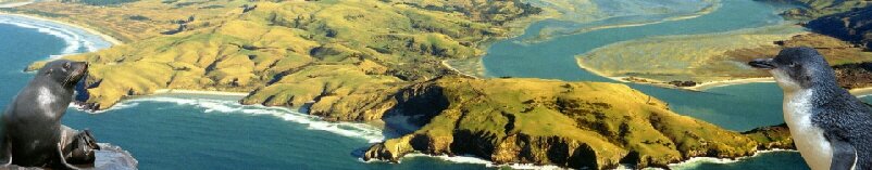 AwesomeTours Otago Peninsula