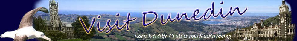 Eden Wildlife Cruises and SeaKayaking