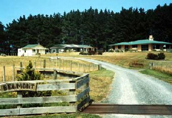 Allans Beach Farmstay Entry