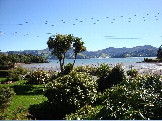 Fern Cottage view