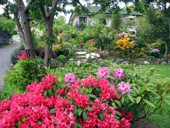 McAuley-Glen-house-&-garden