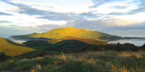 View of Otago Peninsula