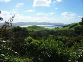 View of Otago Peninsula