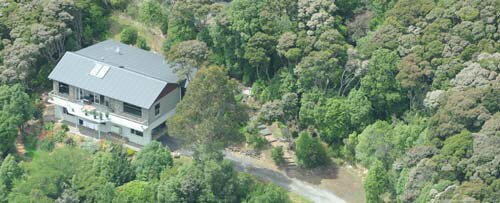 Treetops House