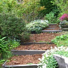 YellowHouseSteps