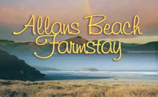 Allans Beach Farmstay